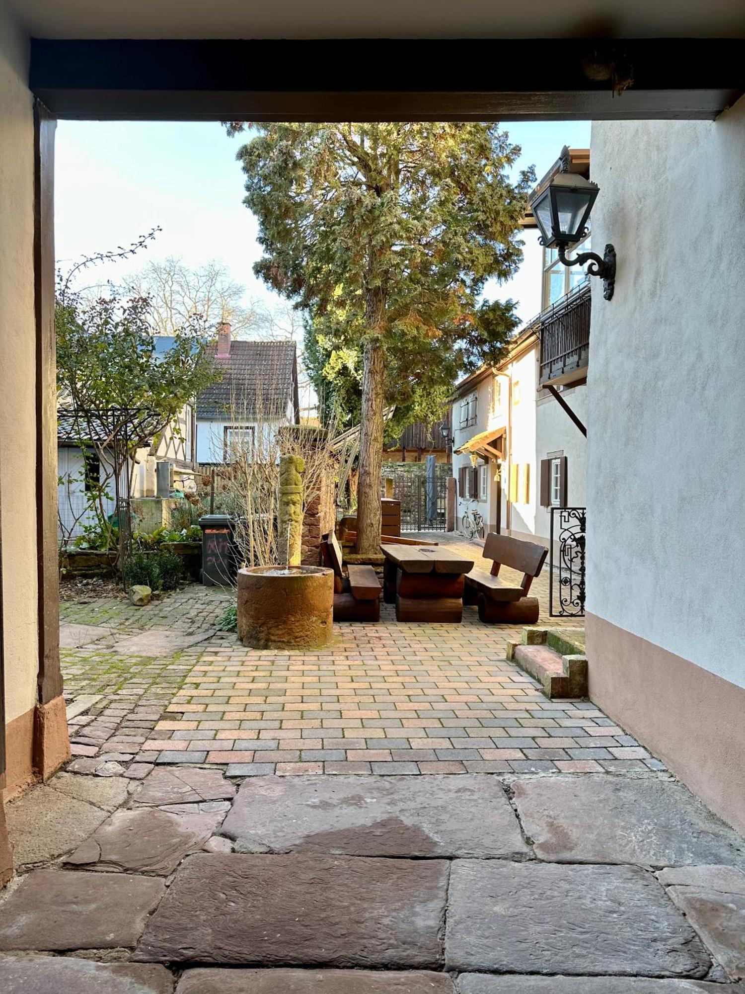 Exklusives Haus, Ruhig Gelegen Im Innenhof, Zentral, Lichtdurchflutet, Karlsruhe Exteriör bild